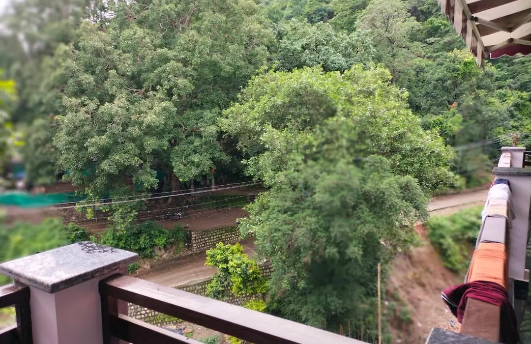 Panchakarma Retreat - Earth Roots Ayurveda-1